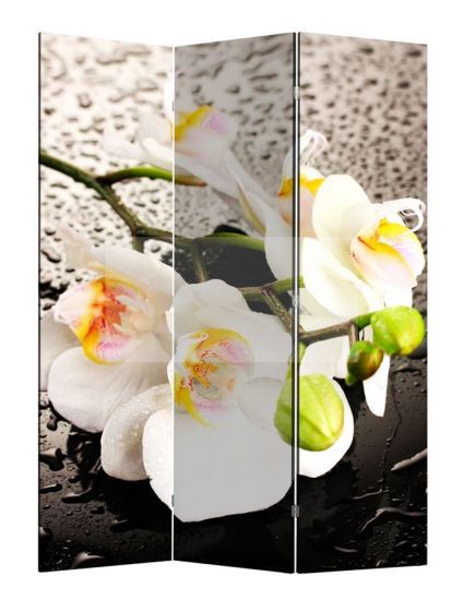 Ширма 1111-3 "Белая орхидея и капли" (3 панели)